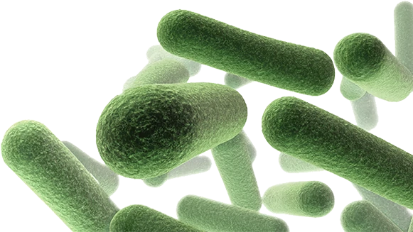 Chlorine dioxide for disinfection