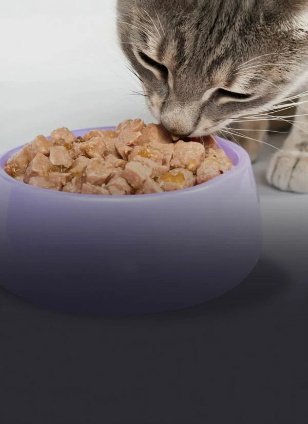 Pet Food
