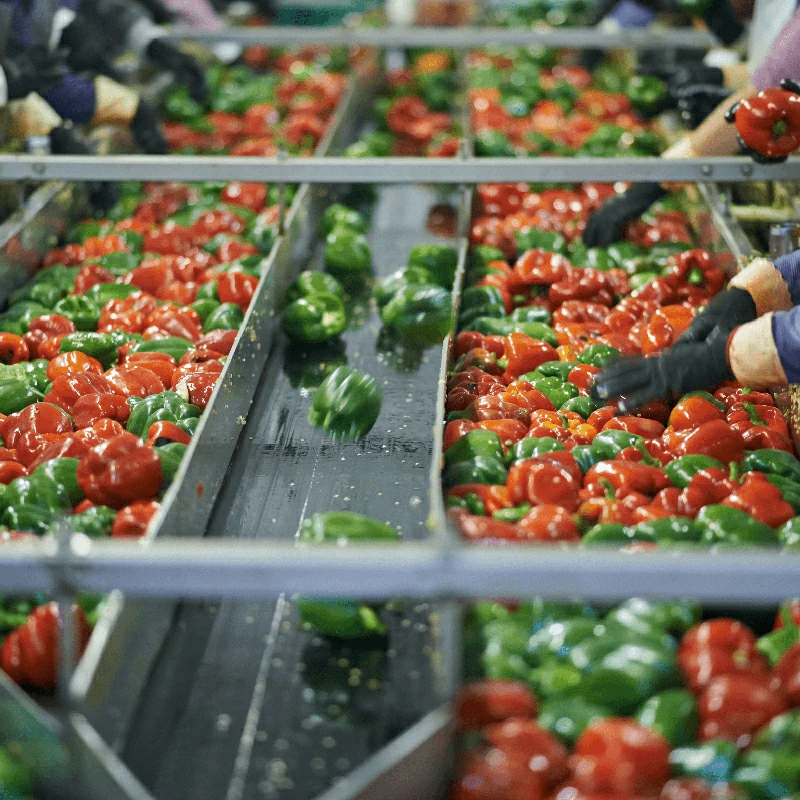 Chlorine Dioxide in Enhancing Plant Health