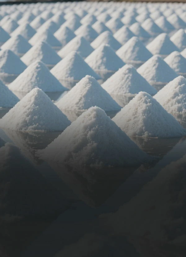 Regulator for Industrial Brine in Salt Field Beach Drying